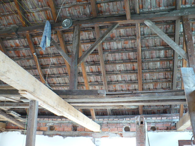 P1020324.JPG