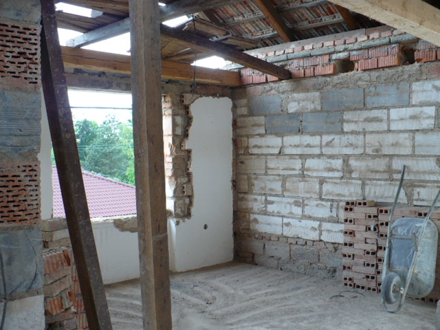 P1020356.JPG