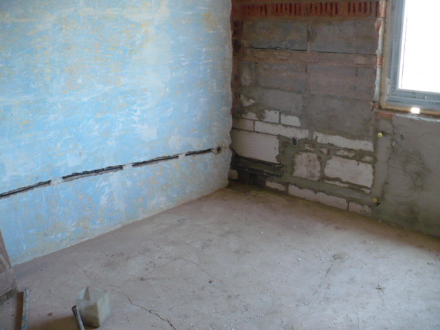 P1020461.JPG