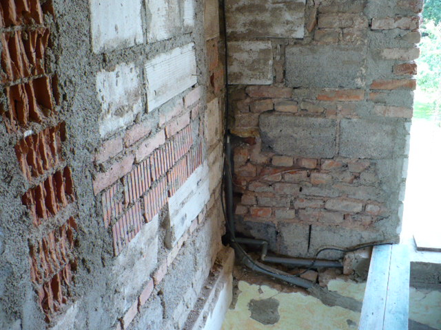 P1020464.JPG